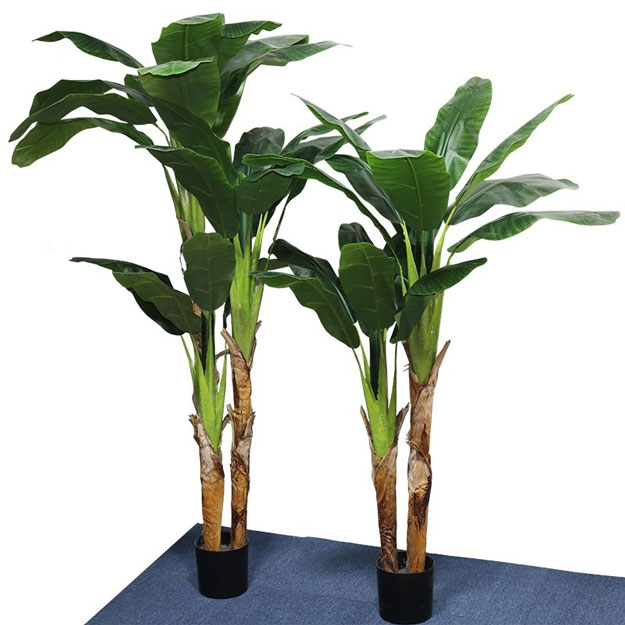 Simulation Plants